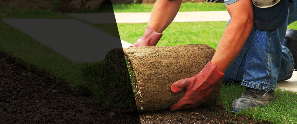Saginaw Landscapers